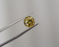 A round yellow gemstone held between metal tweezers against a plain light gray background.