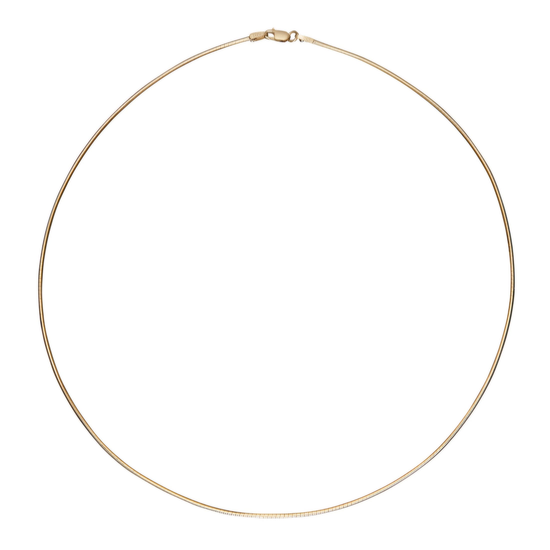 Classic Omega necklace in front of a white background