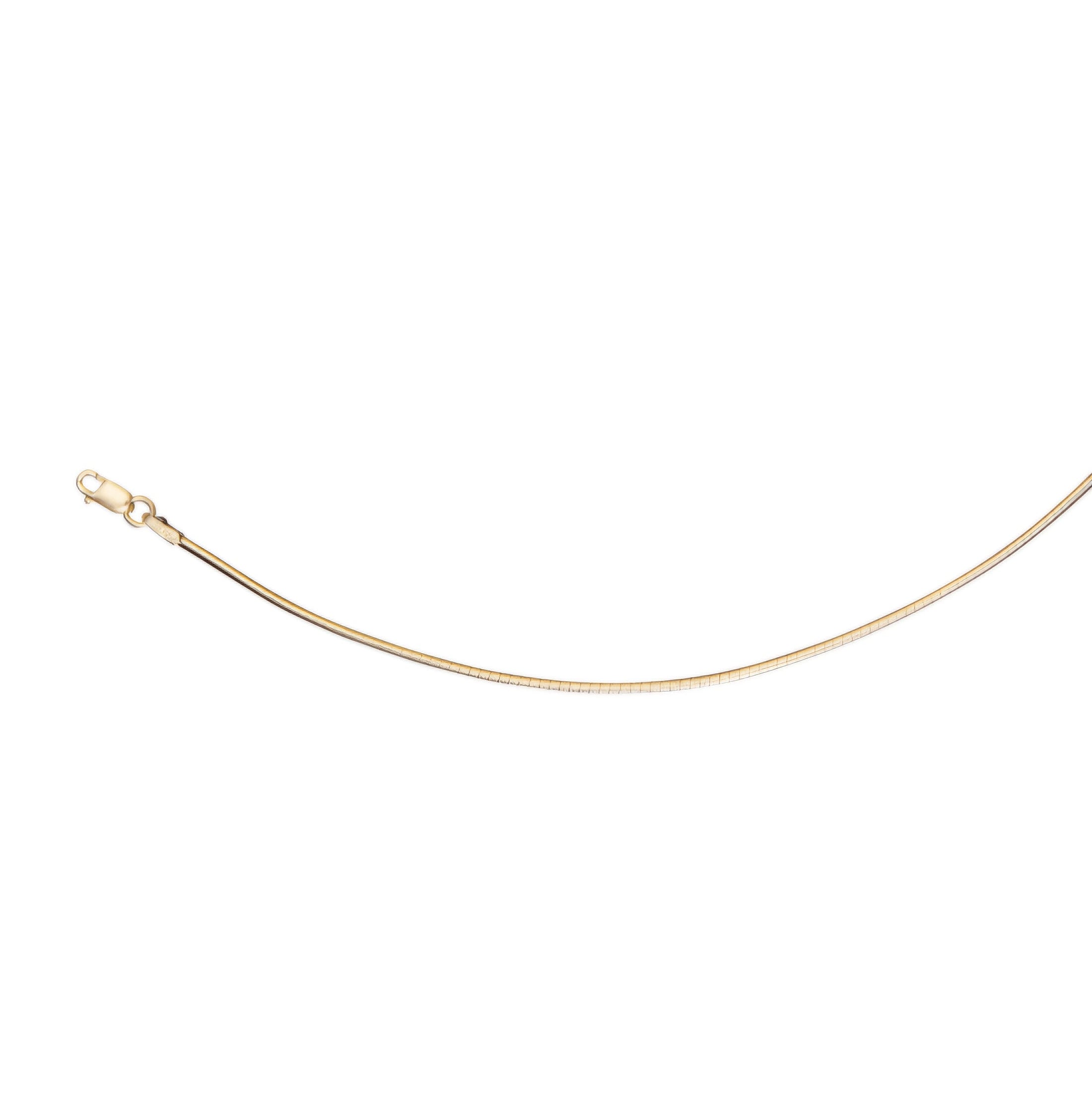 Classic Omega necklace with clasp in front of a white background