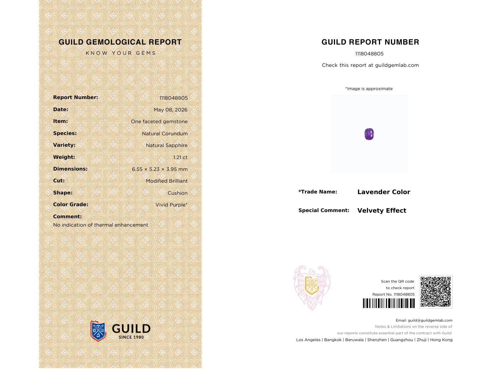 Guild Report