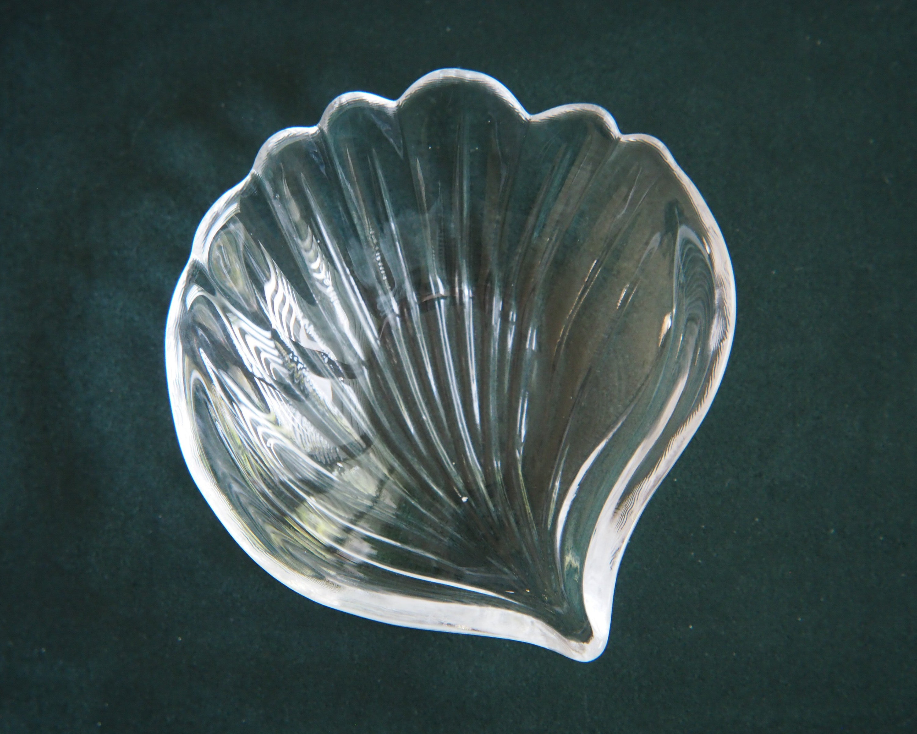 Seashell Glass Trinket Dish