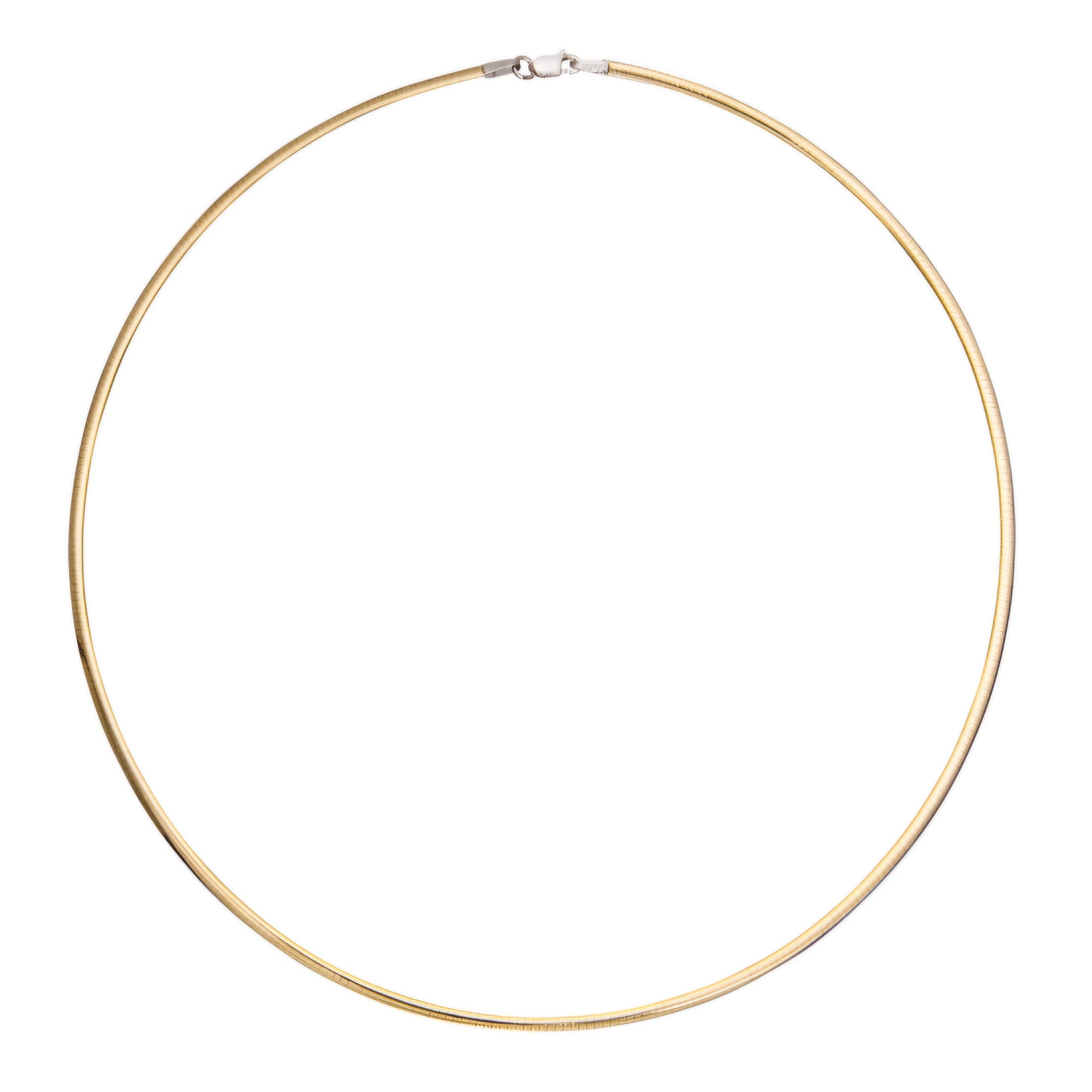 Class Two Tone Flat Omega Necklace in front of a white background