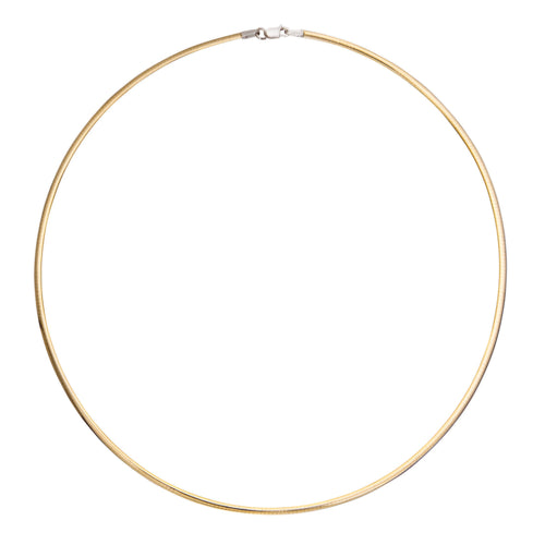 Class Two Tone Flat Omega Necklace in front of a white background